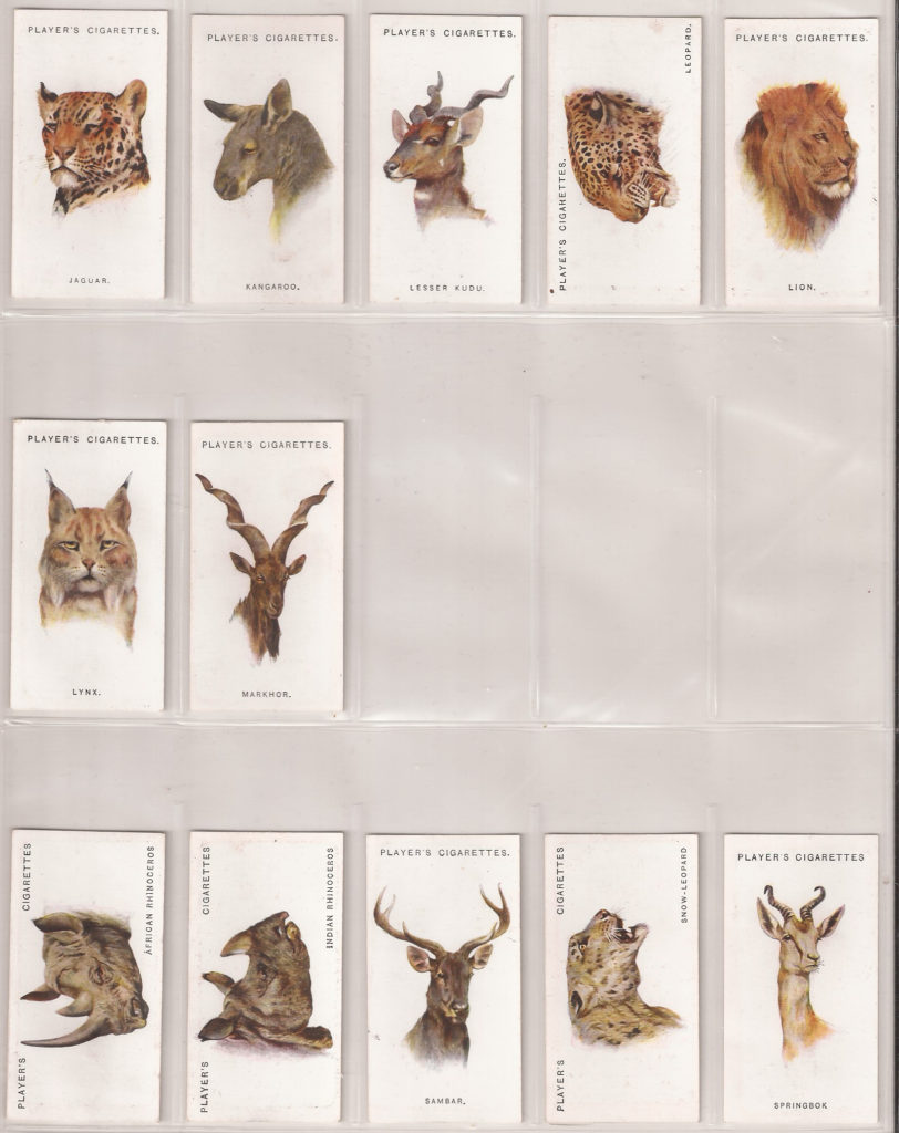 An album page full of 1927 John Player & Sons Wild Animals’ Heads tobacco cards, featuring paintings by Arthur Wardle.
